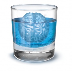 Forma na led - Mozek