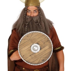 Štít pro Vikingy